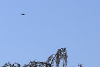 06.JPG