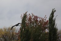 02.JPG