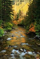 River of Gold sm.jpg River of Gold sm.jpg