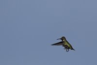 05.JPG