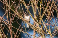 DSC_2876.jpg