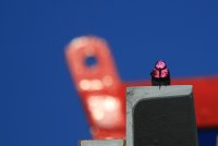 03.JPG