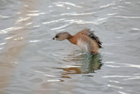 Green Lake  5D 015.JPG