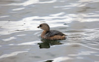Green Lake  5D 016.JPG