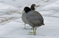 Just Massin Around December 031-denoise.jpg