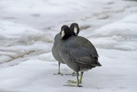 Just Massin Around December 032-denoise.jpg