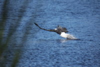 IMG_0592.JPG