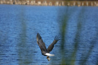 IMG_0596.JPG