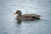 IMG_0053.JPG