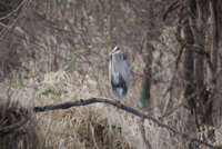 IMG_0031.JPG