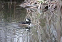 IMG_0008.JPG