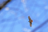 2P1A0260.JPG