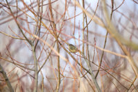 IMG_0057.JPG