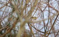 IMG_0062.JPG