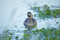 IMG_0076.JPG