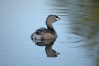 IMG_0075.JPG