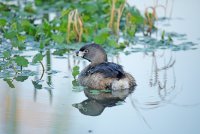 IMG_0071.JPG