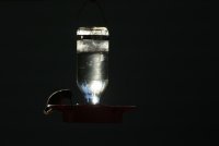 01.JPG
