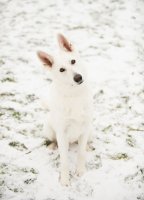 DSC_4286.jpg