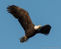 BH2_6364-1200.jpg