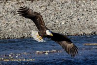 IMG_19300-1.jpg