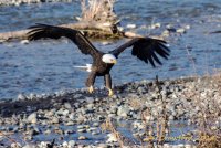 IMG_19385-1.jpg