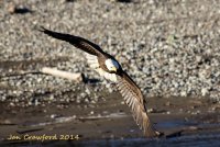 IMG_19460-1.jpg