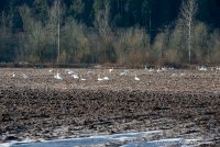 DSC_6798.JPG