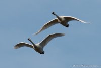 DSC_6834.JPG