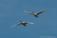 DSC_6832.JPG