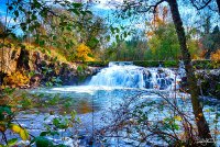 DSC01139_HDR_1.jpg