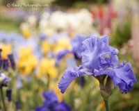 IMG_5797web.jpg