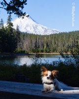 IMG_8588-WEB.jpg