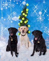 IMG_2016-WEB.jpg