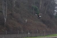 06.JPG