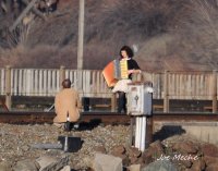 LadyofTrain2.jpg LadyofTrain2.jpg