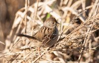 DSC_2395.jpg