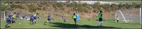 IMG_3844-Edit1_sml-2-10.jpg