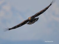 2-6-2014 juvie over marina breach_9462.JPG