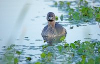 IMG_0078.JPG