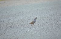 IMG_0144.JPG
