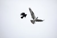 IMG_0054.JPG