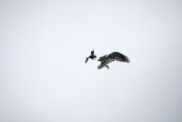 IMG_0076.JPG
