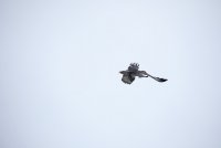IMG_0094.JPG