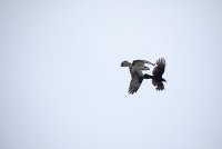 IMG_0095.JPG