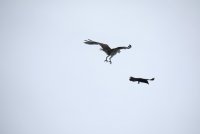 IMG_0164.JPG