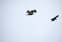 IMG_0165.JPG