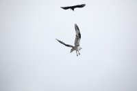 IMG_0069.JPG