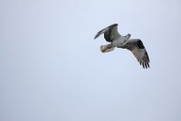 IMG_0199.JPG