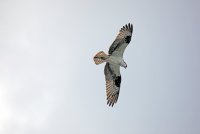 IMG_0200.JPG